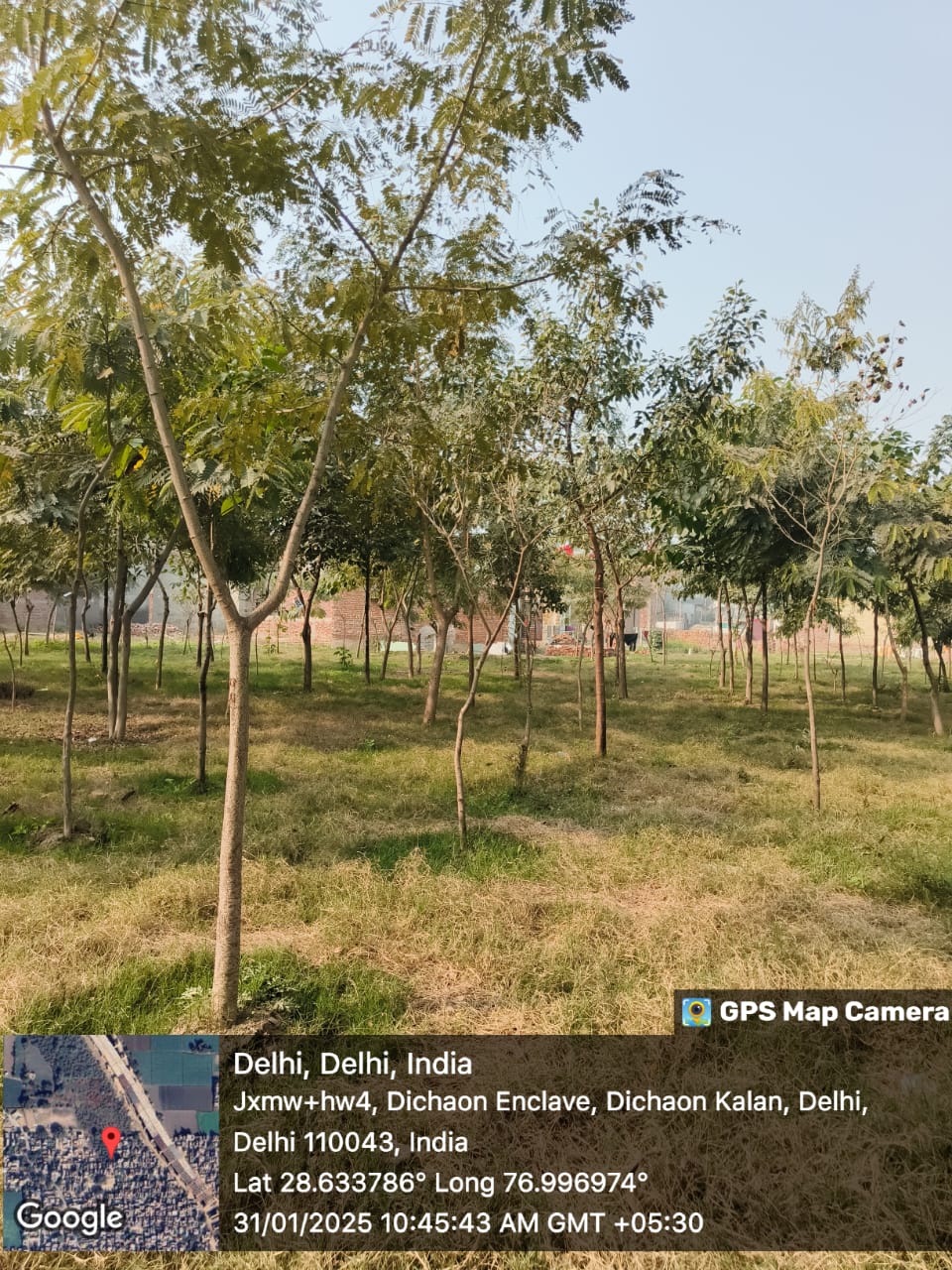 Compensatory Afforestation